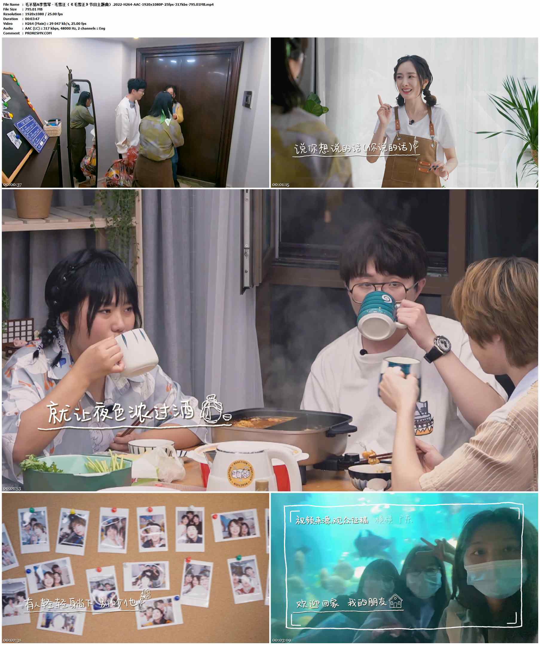 毛不易&李雪琴 - 毛雪汪（《毛雪汪》节目主题曲）.2022-H264-AAC-1920x1080P-25fps-317kbs-795.01MB官方MV_高清MV